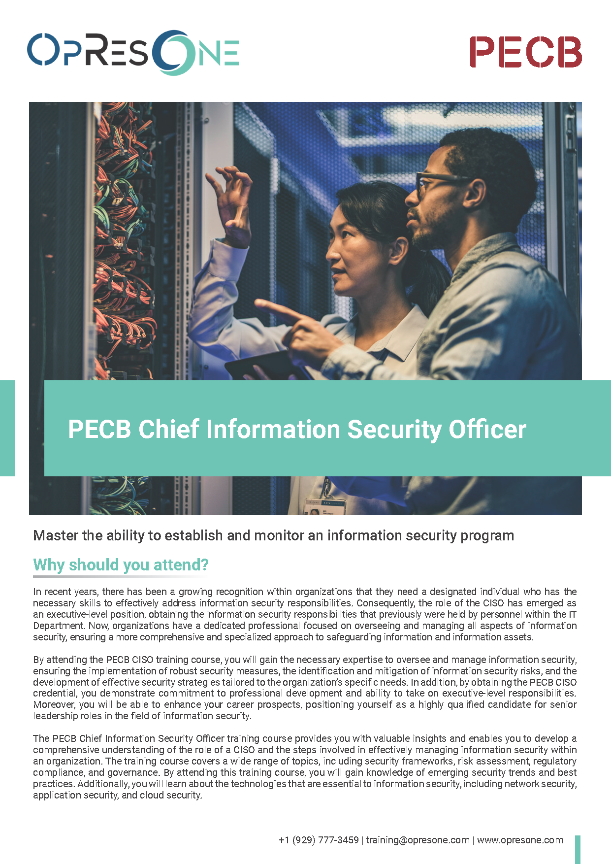 CISO (Chief Information Security Officer)